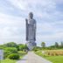 Altres