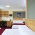Altres