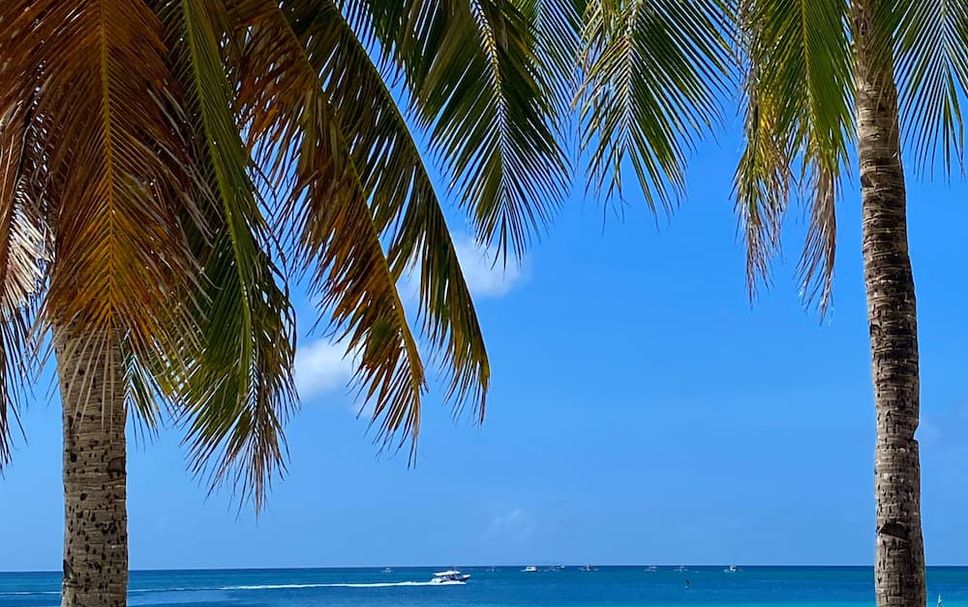 Platja Foto