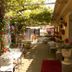 Pati