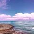 Altres