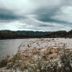 Altres