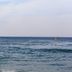 Altres