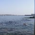 Altres