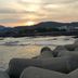 Altres