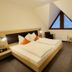 Altres