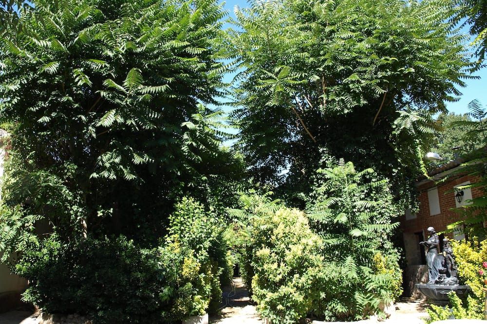 Vista exterior