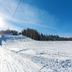 Altres