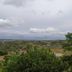 Balcó