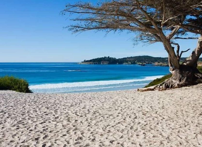 Platja Foto