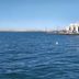 Altres