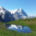 Altres