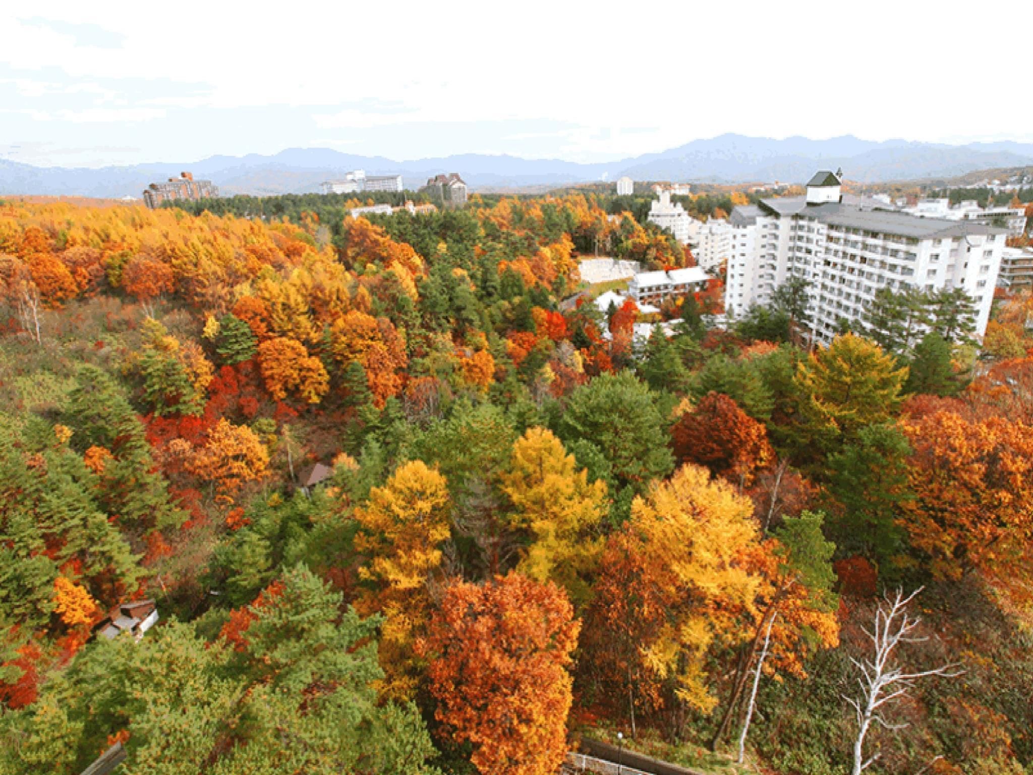 Vista exterior
