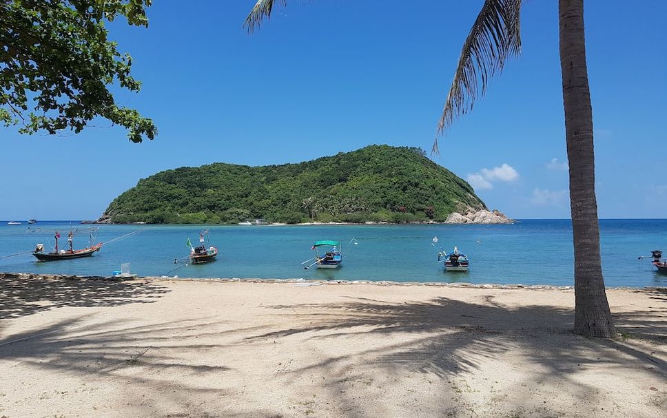 Platja Foto