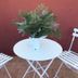 Pati