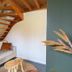 Escales