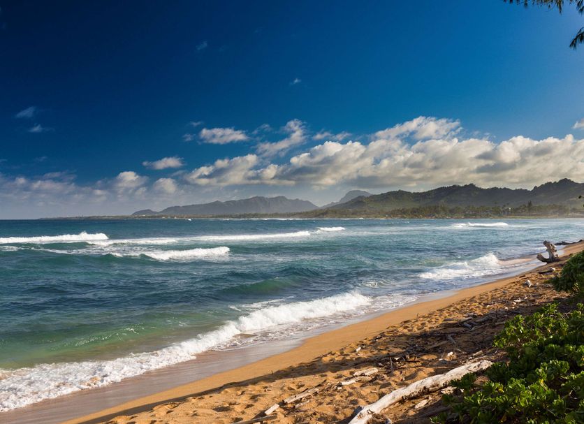 Platja Foto