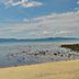 Platja