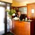 Recepció