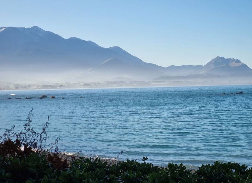 Platja Foto
