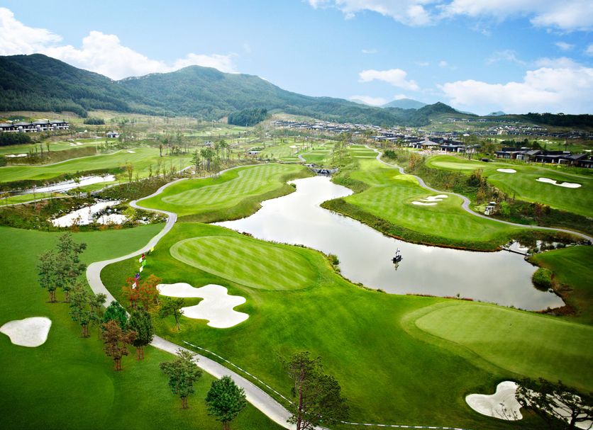 Camp de golf Foto