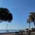 Altres