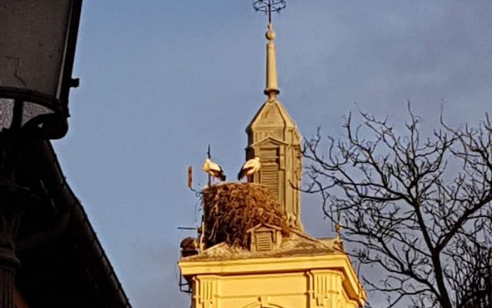 Altres Foto