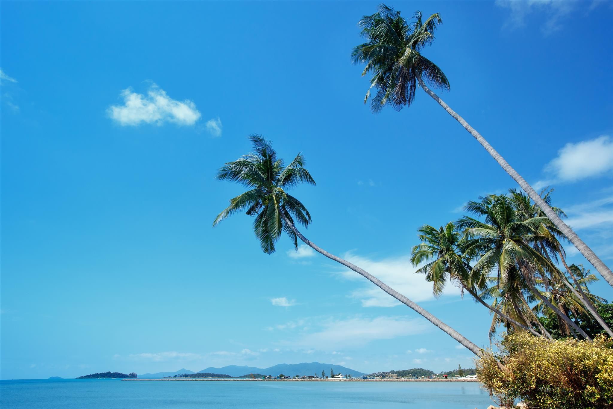 Platja Foto