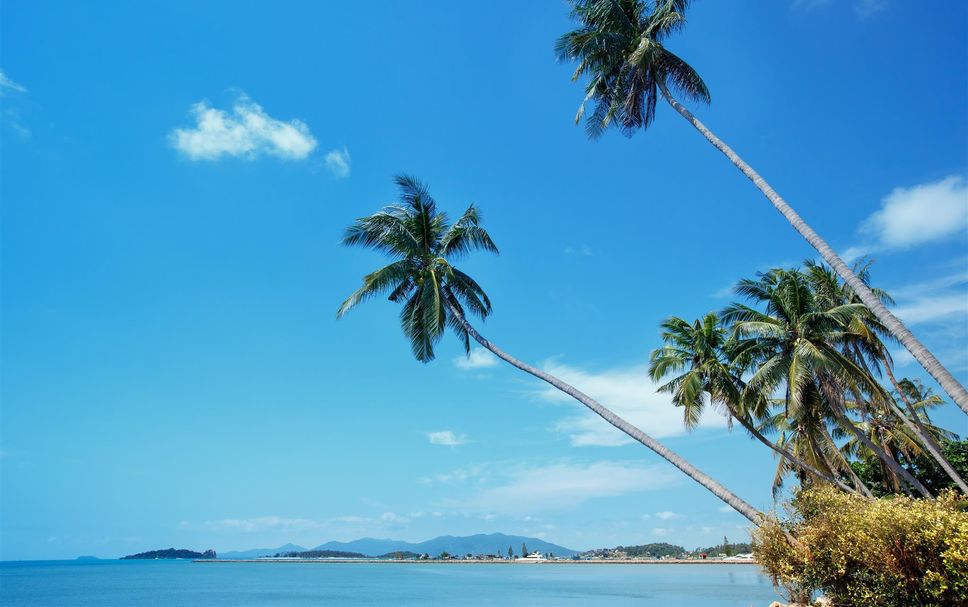 Platja Foto