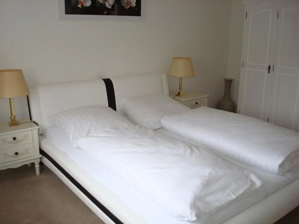 Altres