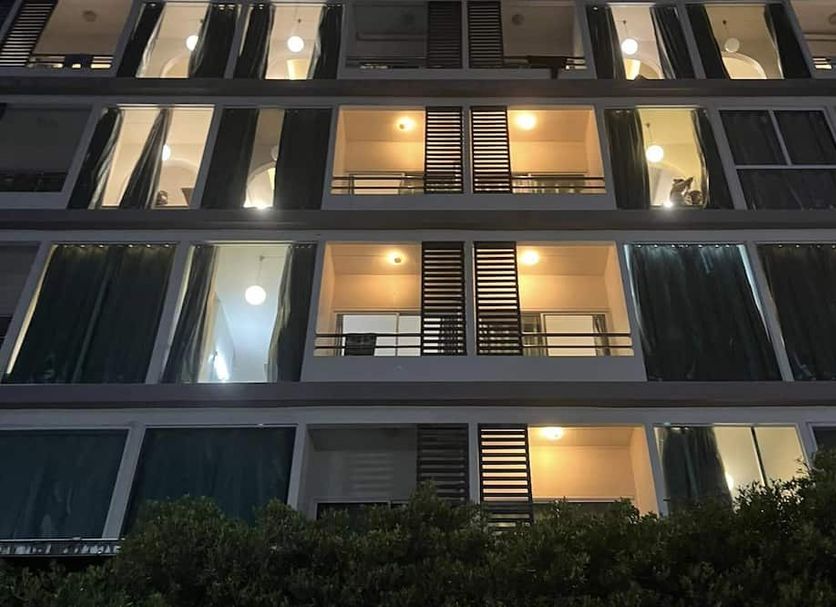 Edifici Foto