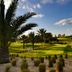 Camp de golf