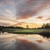 Camp de golf