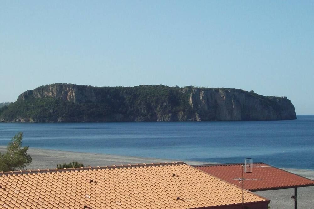 Altres