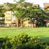 Edifici