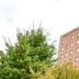 Edifici
