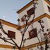 Altres