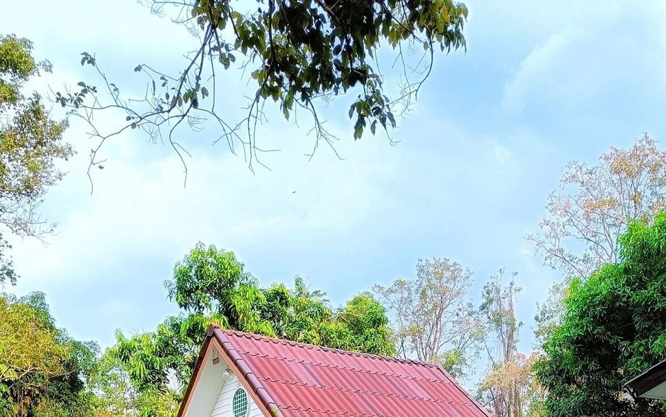 Vista exterior Foto