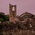 Altres