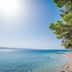 Altres