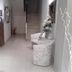 Altres