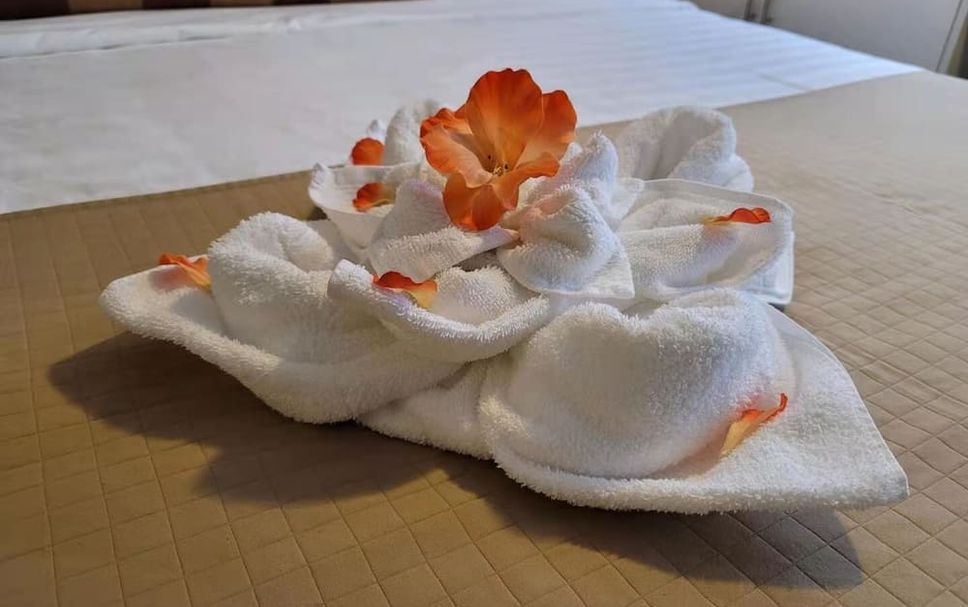 Serveis de l’habitació Foto