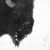 Altres