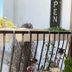 Altres