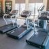 Gimnàs