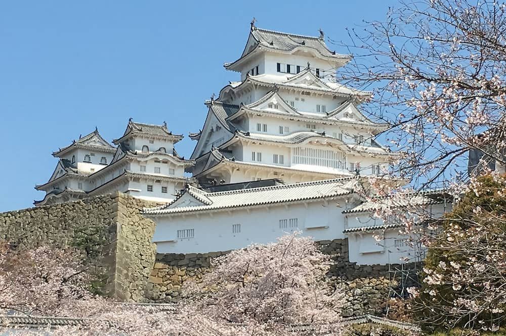 Edifici Foto