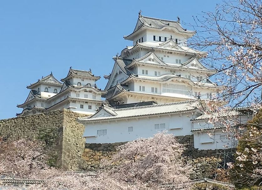 Edifici Foto