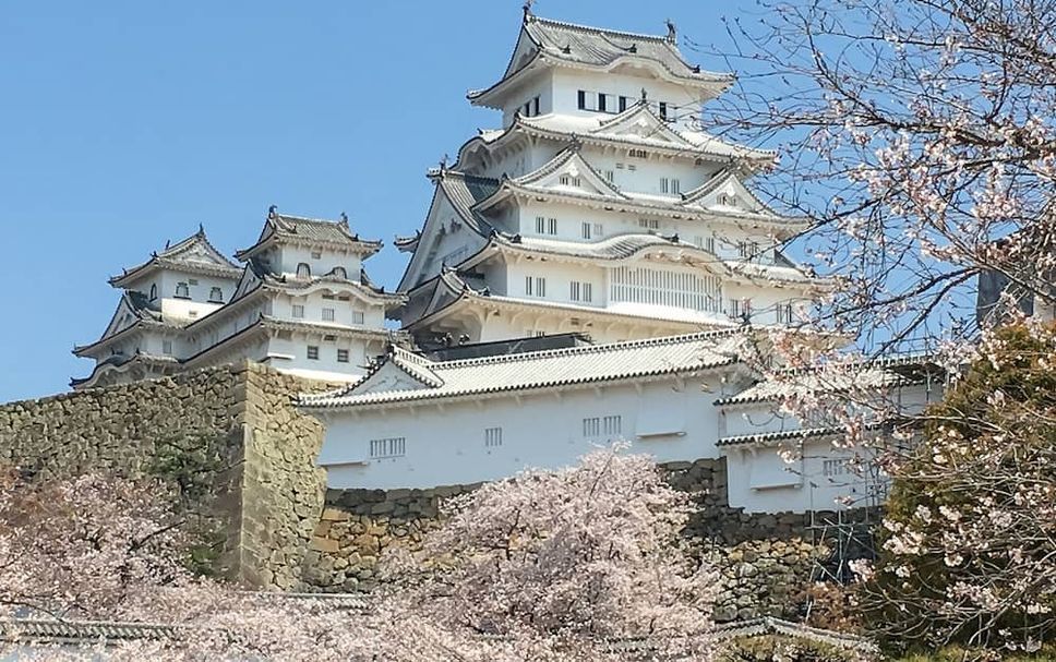 Edifici Foto