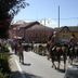 Altres