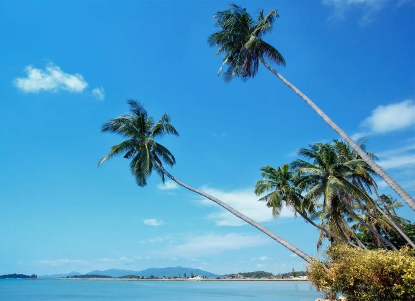 Platja Foto